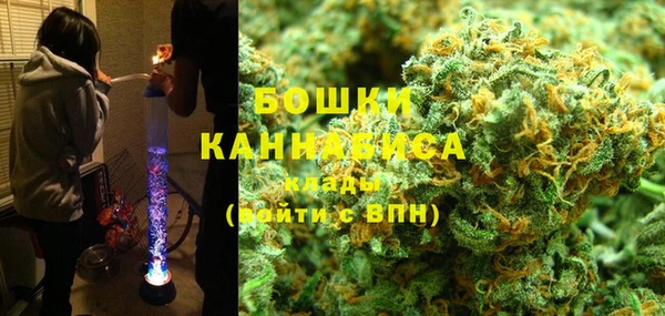 дживик Бронницы