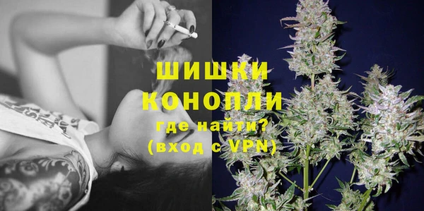 эйфоретик Бородино