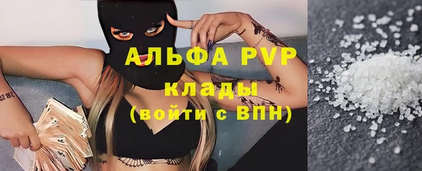 PSILOCYBIN Верея